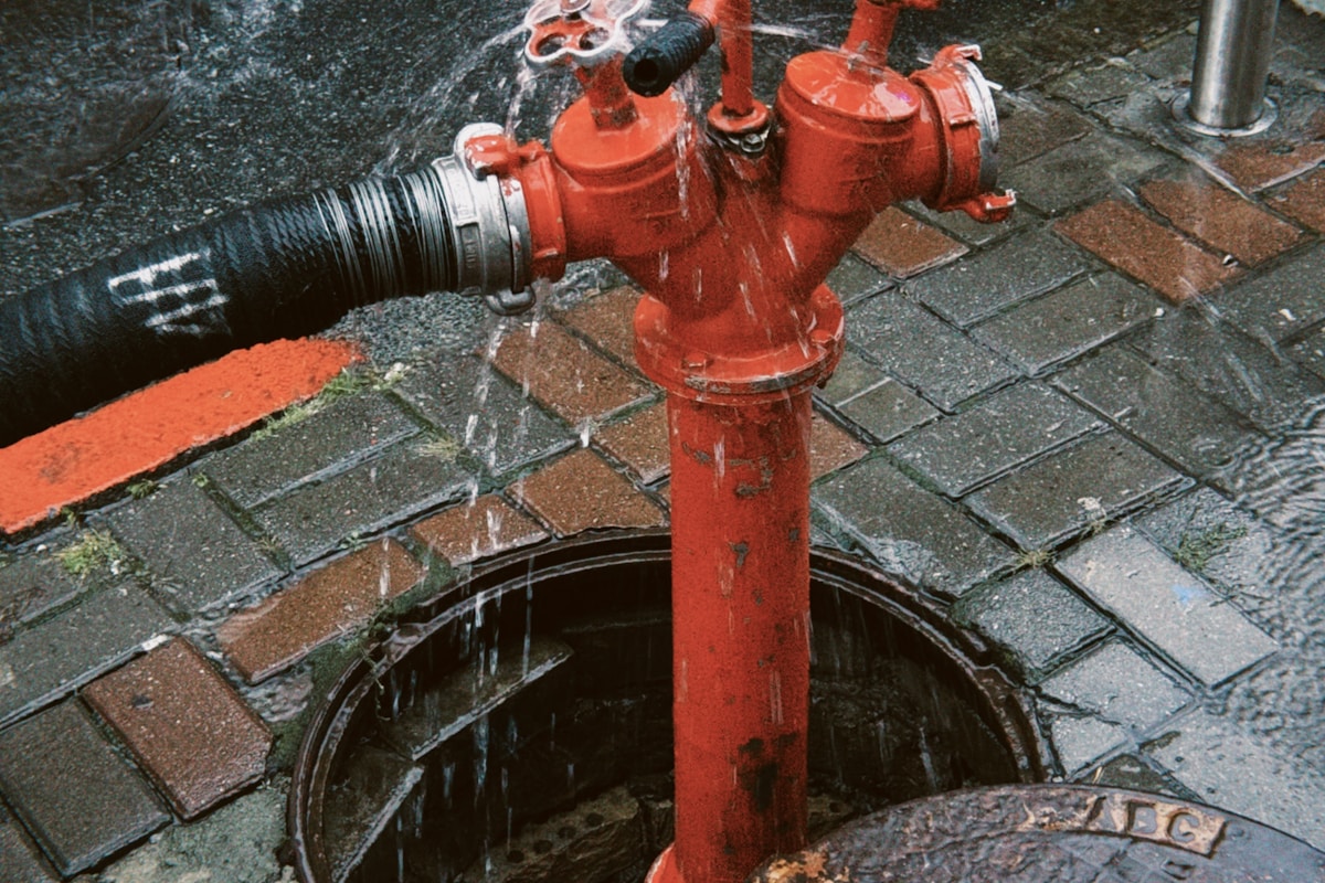 Mold Remediation service in Portland, OR